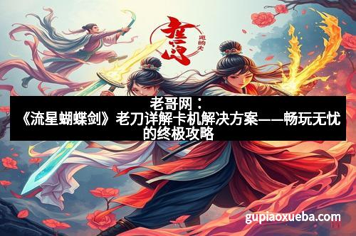老哥网：《流星蝴蝶剑》老刀详解卡机解决方案——畅玩无忧的终极攻略